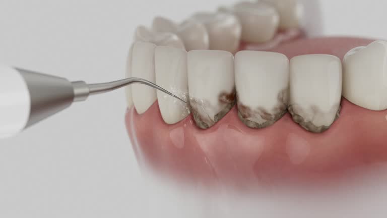 Reliable Dental contractor in Randallstown, MD by Dentist Open Now